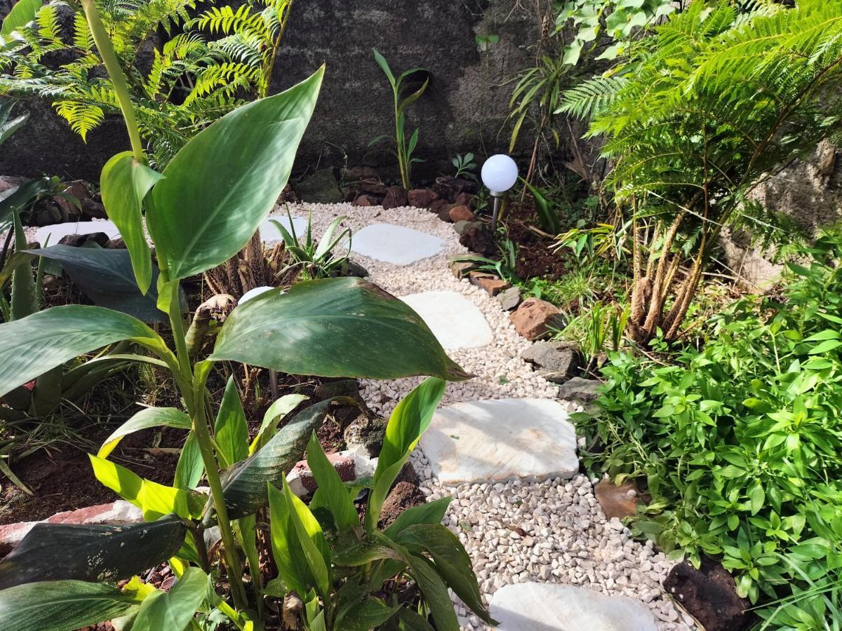 Sea Mountain House Villa Machico  Exterior photo